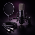 Microfone Condensador XLR para Estúdio