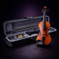 Violino Acústico 4/4 com Estojo